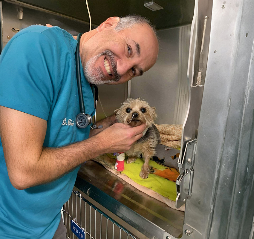 A smiling veterinarian in a blue scrub top with a stethoscope around his neck gently holds a small dog in an animal clinic. The dog is on a colorful blanket inside a metal kennel.