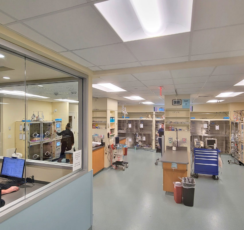 A veterinary clinic with a view through a glass window into the treatment area. The room contains medical equipment, tables, and supply carts. Several staff members are present, attending to tasks. The ceiling has overhead lighting.