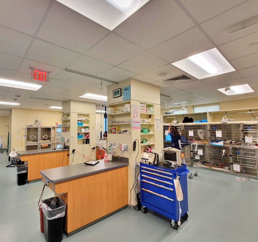 A veterinary clinic with examination tables, medical equipment, cabinets, and cages containing animals. The room is well-lit with overhead lights and has a blue rolling cart with supplies. An exit sign is visible on the ceiling. A person is working in the background.