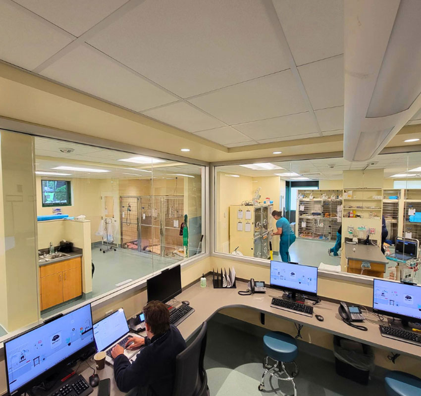A veterinary clinic with a large observation window. A person works at a computer desk in the foreground. Others are in the background tending to animals in cages. The room is bright and clean, with multiple monitors and medical supplies visible.