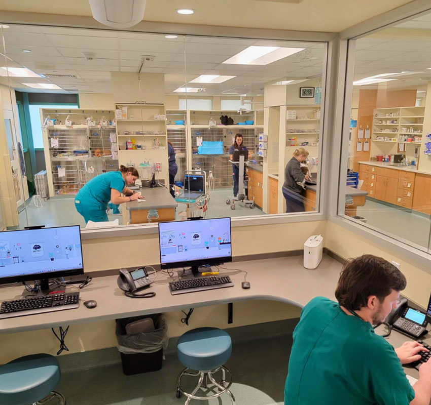 Medical staff in green scrubs work in a veterinary clinic. Several people attend to animals in the treatment room, while one person monitors computer screens in the foreground office area. Shelves with supplies are visible in the background.