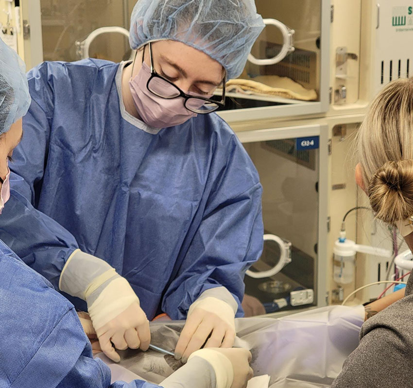 Medical professionals in blue surgical gowns and masks perform a procedure on a patient. They are focused and working together in a clinical setting with equipment visible in the background.