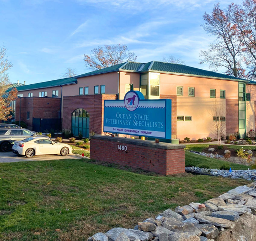 A veterinary clinic with a prominent sign reading "Ocean State Veterinary Specialists" is shown. The building is two-toned with a green roof, surrounded by a colorful garden. Two white cars are parked nearby.