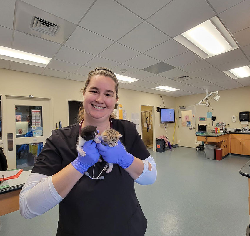 A smiling person in scrubs and gloves holds two small kittens in a veterinary clinic. The room has medical equipment, a ceiling light, and various items on counters.