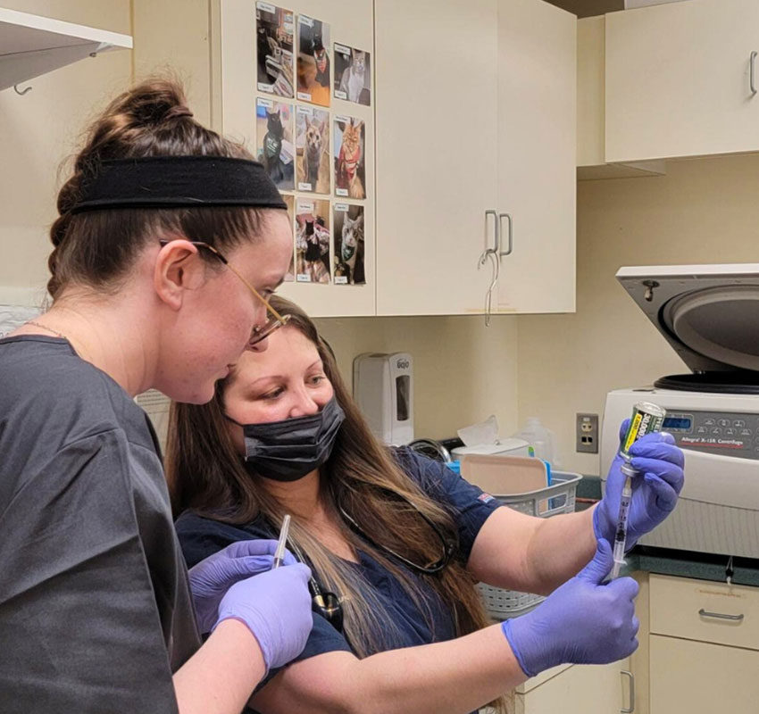 Two veterinary technicians are seen in a clinic, both wearing gloves and focused on a syringe one of them is holding. Behind them, there are photos of animals pinned on a board. One technician is wearing a headband, and the other is wearing a black mask.