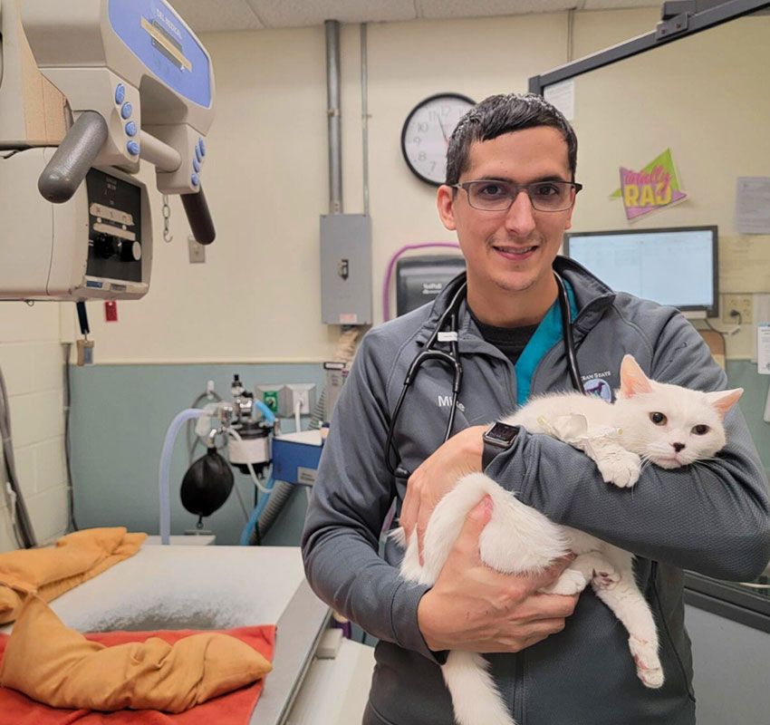 A veterinarian wearing glasses and a dark jacket stands in an examination room, holding a white cat in his arms. The room has medical equipment, and a clock is displayed on the wall in the background. The cat appears calm and content.
