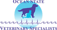 OSVS Logo