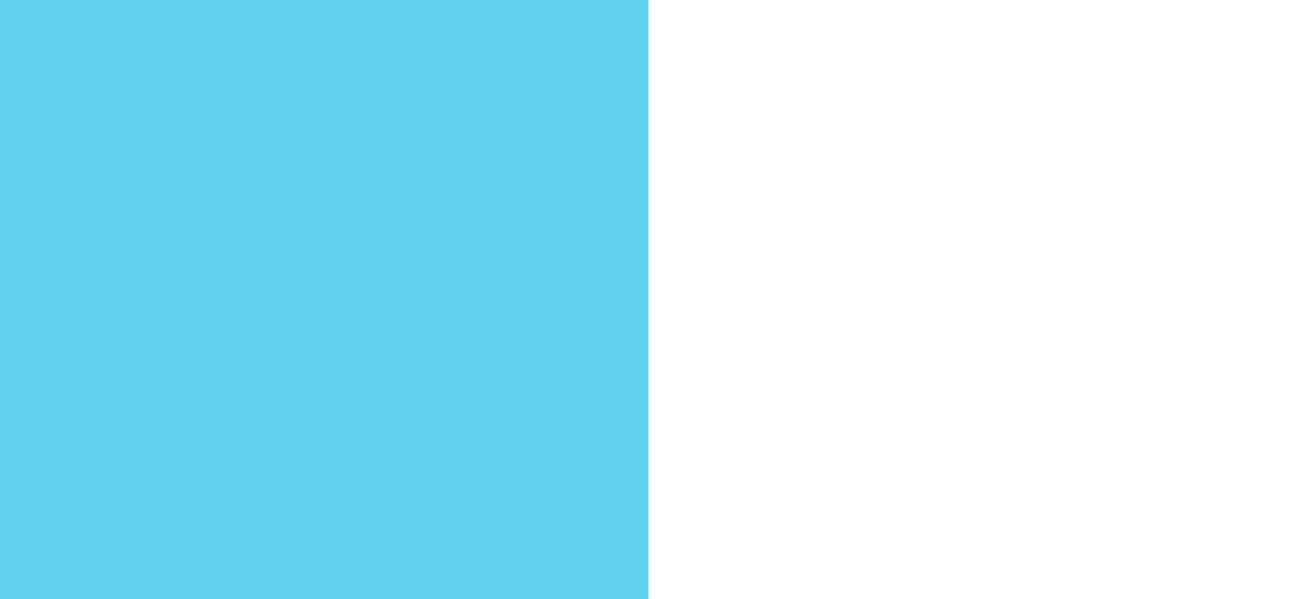 A vertical image split into two equal halves: the left half is cyan, reminiscent of a vet's scrubs, and the right half is black.